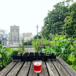 先日の屋上。ガーデニングをしていました😊．早起きできた日は秋冬野菜の準備をしています。きゅうりやUFOズッキーニを植えていた場所は、ルッコラやベビーレタス、ケール、小松菜、チンゲンサイ、イン&hellip;のInstagram画像