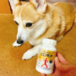 毎日の健康作りに。膝に不安感があるのでロコモア！ミルクちゃんのお散歩楽しみたいからね🐶🐶飲みやすい錠剤なので続けやすいです♪#PR #サントリーウエルネス株式会社 #ロコモア #monipl&hellip;のInstagram画像