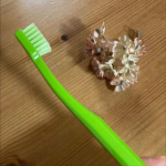 クラプロックス　キッズ　子ども歯ブラシ(4歳～12歳)4歳から12歳までのお子様のために特別に設計された、小さなお口でも奥まで届くコンパクトなブラシヘッドだそうで、我が家の8歳の娘も磨きやすいと大&hellip;のInstagram画像