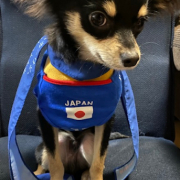 「頑張れ日本！」【犬猫飼い主さま限定/画像投稿イベント】ハッピーハロウィン！ねこちゃん・わんちゃんの仮装したかわいいお顔、みーせて♡の投稿画像