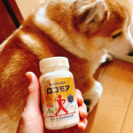 サントリー「ロコモア」1ヶ月飲みました！立ち上がりなどに膝に不安があったけど。。立ち上がりもスムーズで涼しくなって長く行けるようになった🐶ミルクちゃんのお散歩も楽々〜❣️これから寒くなるし特に&hellip;のInstagram画像