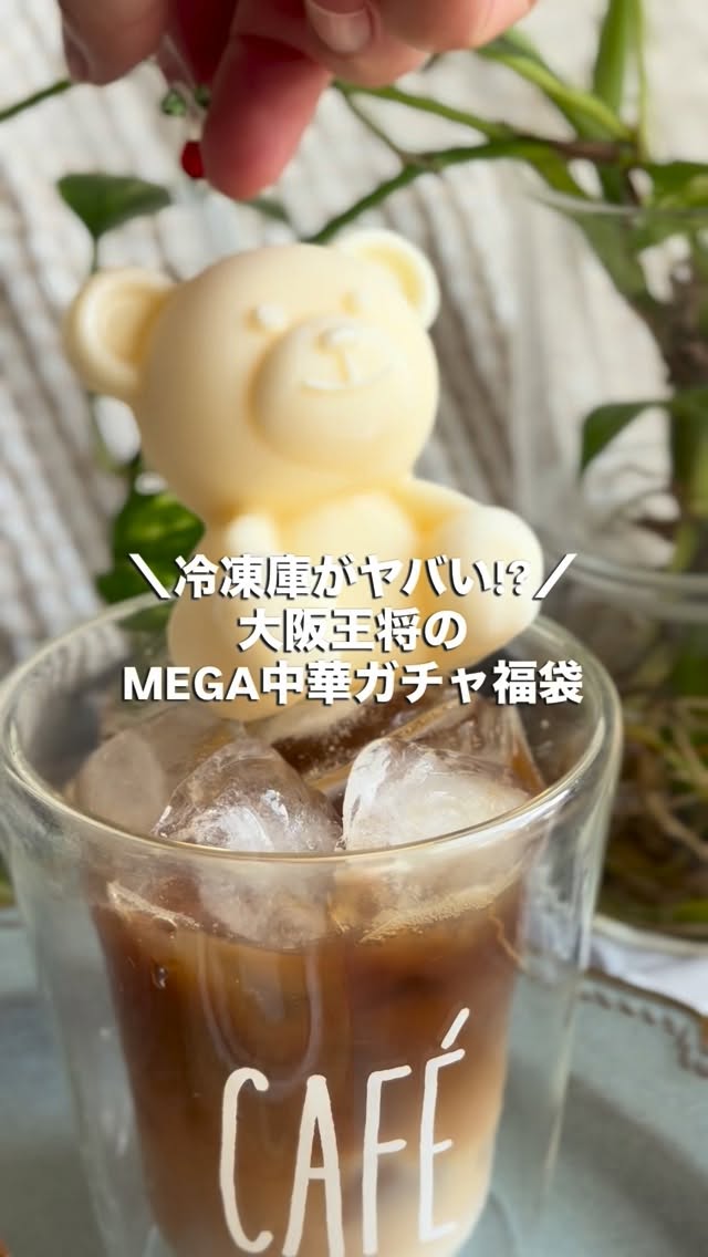 口コミ投稿：累計15,446セットが完売した大阪王将の「MEGA中華ガチャ福袋」がさらにSUPERにパワー…