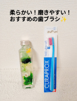 クラプロックス(@curaproxjapan )さまの歯ブラシを愛用しています！【CS5460】というクラプロックスの一番定番の歯ブラシです。カラー展開も豊富で、原色が可愛い✨️洗面&hellip;のInstagram画像