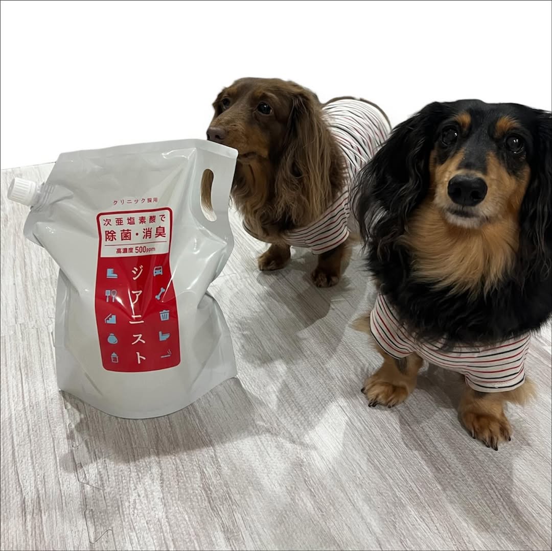 口コミ投稿：【次亜塩素酸 ジアニスト 2.5Lパウチ】アルコールでは対処しきれない＼様々なウイル…