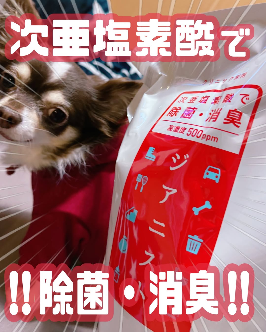 口コミ投稿：#PRらて。と暮らしていると、かわいさ無限大✨✨✨✨なんだけど、どうしても気になるのが…