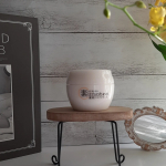 *&nbsp;乾燥性敏感肌の方にもおすすめのオールインワン保湿クリーム&nbsp;&nbsp;✼&bull;&bull;┈┈┈┈┈┈┈┈┈┈┈┈&bull;&bull;✼素はだのための薬用リペアクリーム内容量：50g価格：3,300円(税込)株式会&hellip;のInstagram画像