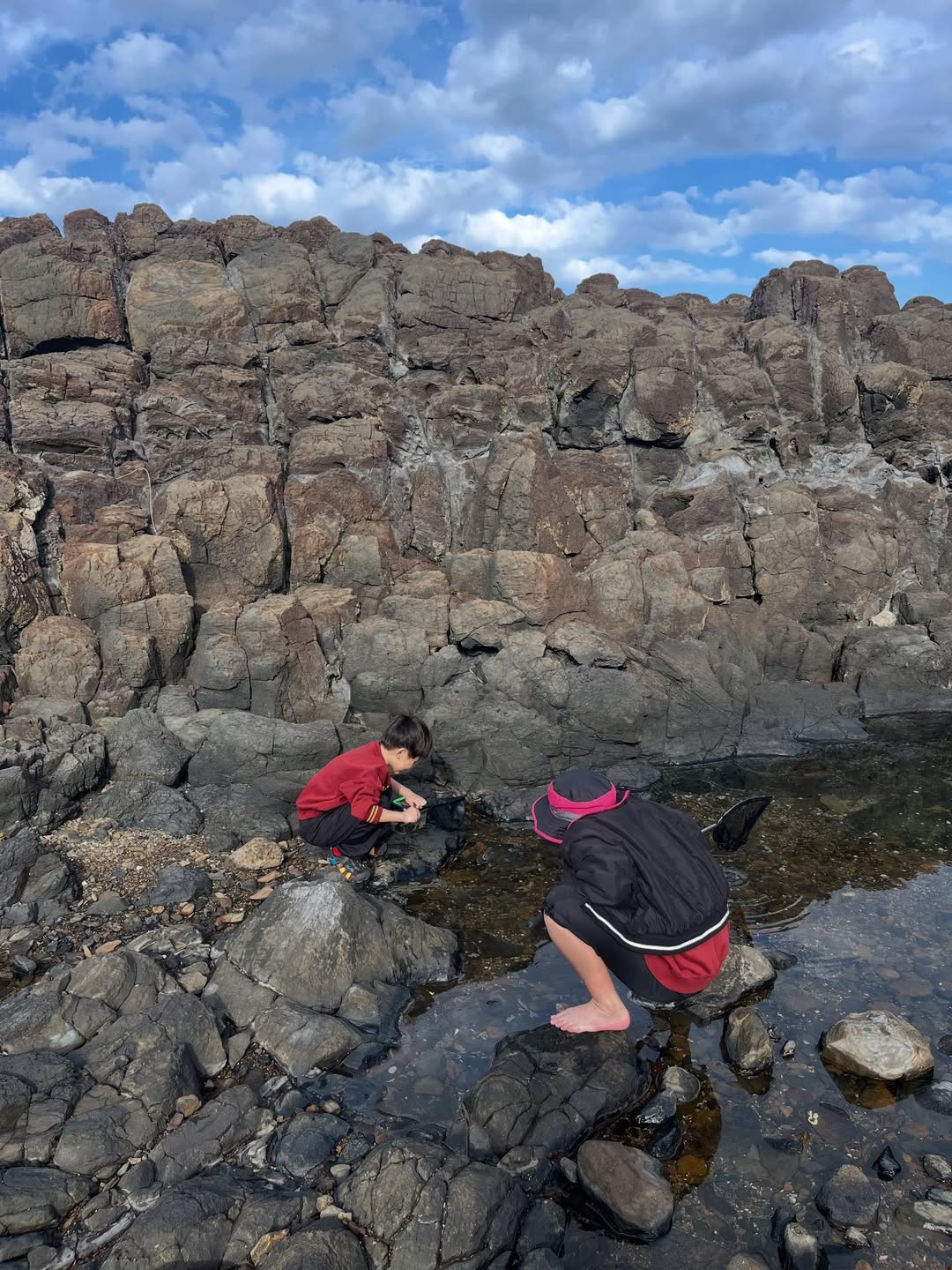 口コミ投稿：もうすぐクリスマスというのにこの陽気❣️暖かすぎますね。思い立って磯遊び。始めは…