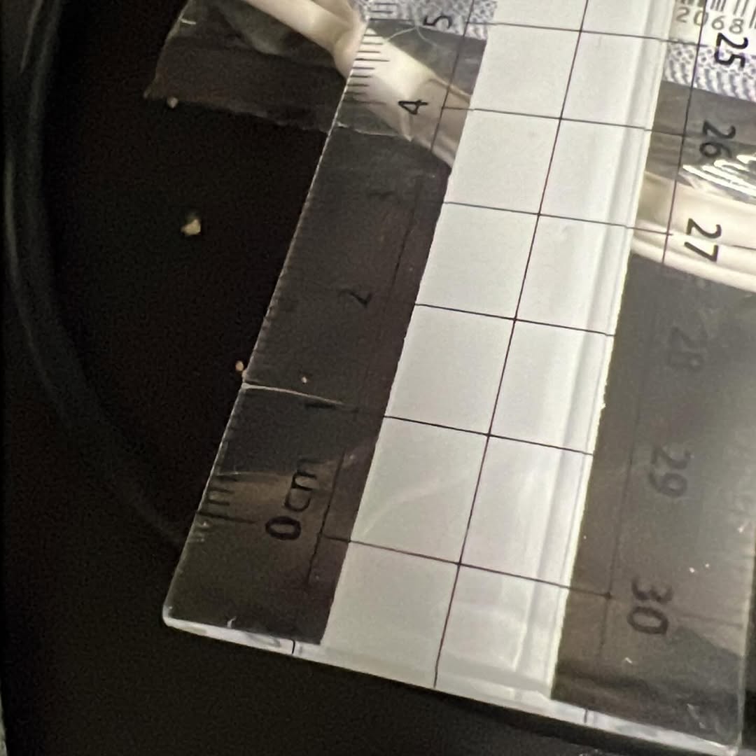 口コミ投稿：#PR #AAtestAA #あらテント #monipla