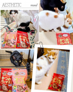 #PR #マルトモ株式会社 #かつおだいすきファンクラブ #にゃるとも #moniplaいただきました〜✨️カリカリの上にかけてもぐもぐ仲良く美味しく食べてますかつおぶし苦手な子もいるの&hellip;のInstagram画像