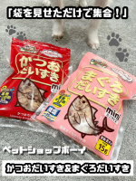 袋を出した瞬間、もう足元にスタンバイ🐾マルトモの🐟 ペットショップボーイ かつおだいすき🐟 ペットショップボーイ まぐろだいすきどちらも開けた瞬間からふわっと香りが立って、見るだけで&hellip;のInstagram画像