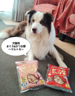 マルトモ様から、お贈りいただきました☻犬猫用の【かつおだいすきミニ】【減塩まぐろだいすきミニ】我が家の愛犬、ボーダーコリーのボルボのかつお節デビューはマルトモさんのかつおだいすき。今回も&hellip;のInstagram画像