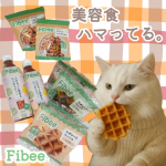 美容食【Fibee】 主に朝食として利用したよ。 試したきっかけは、 食事が不規則になり 美容と健康のために栄養を整えたいと思ったから💡 忙しい朝でも手軽に発酵性食物繊維がとれるので&hellip;のInstagram画像