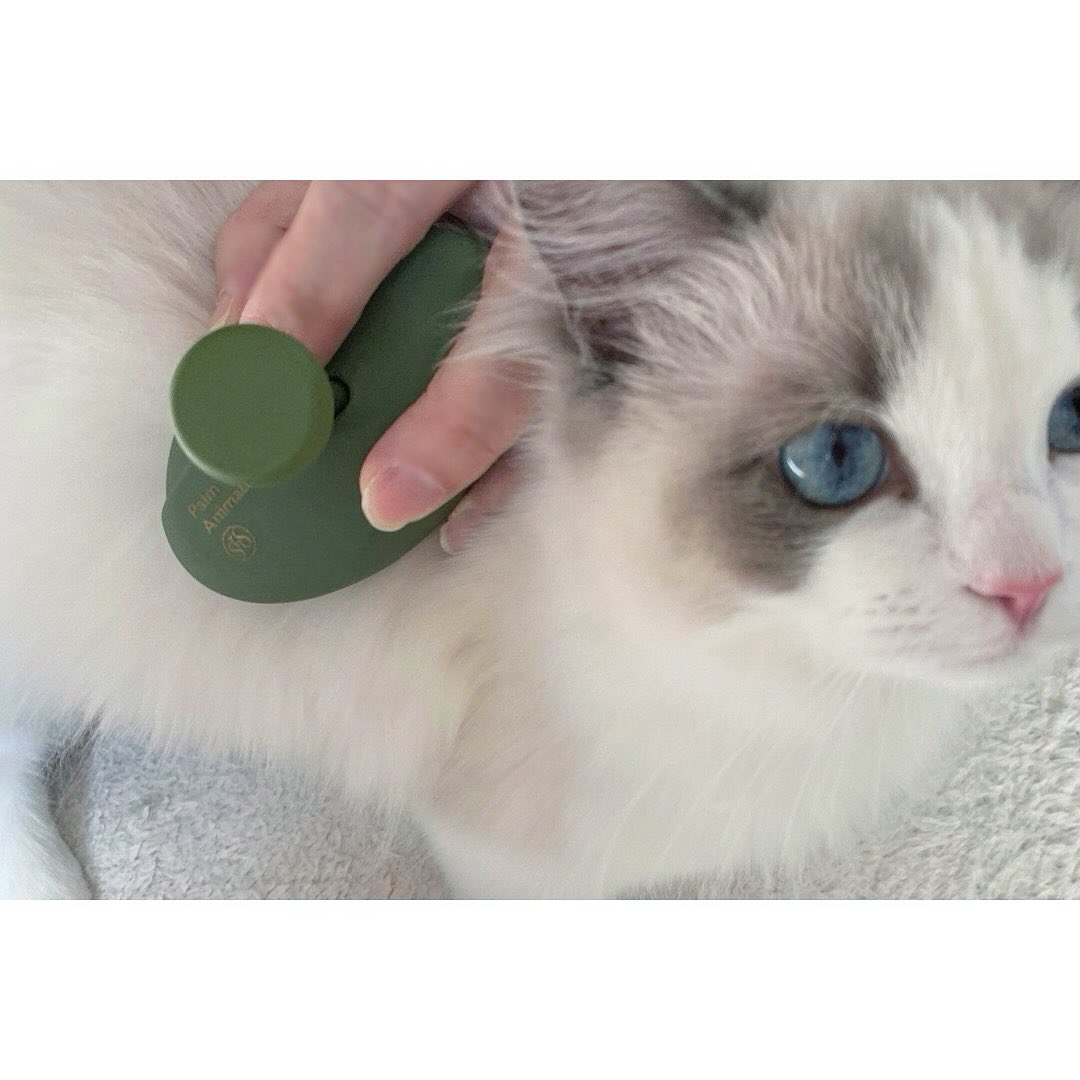 口コミ投稿：S HEART Sのペット用ブラシ🐱🪮マットでコロンとしたおしゃれなブラシ。毛が長く&増え…
