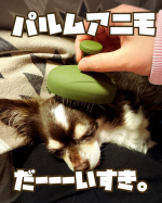 🐶シャンプーも、普段のブラッシングもこれ1本🐾ペット用ブラシ 「パルムアニモ」 使ってみたよ！実はこのブラシ、世界で200万本売れている人気ブラシをペット用に改良したアイテムなんだそう😳&hellip;のInstagram画像