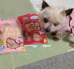 16歳のおばあちゃん犬もパクパク食べられて食いつきがとても良かった♡歯がないけど、安心してたべられました！！お気に入りの1つになったദ്ദി ˃ ᵕ ˂ )⁡まぐろよりかつおが好みっぽかった！&hellip;のInstagram画像