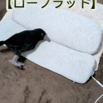 【PR】首と肩を約40℃で15分じんわり温める♨低め設計の《ホッとする枕 ローフラット》高い枕が苦手な方や、タオル枕・枕なし派さんにもやさしい高さ。⁡➕付属のパッドで高さも変えられるよ。&hellip;のInstagram画像