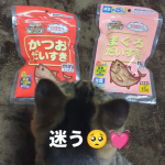 好き嫌いが多いうちの子🐈️でもマルモトさんのは大好き🤤💓まず食いつきが全然違う🥺ずーっと食べてる（笑）猫はグルメってゆーからやっぱり美味しさ分かっちゃうんだろうね🤗✨#PR #マルトモ株式会社 &hellip;のInstagram画像