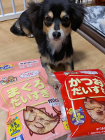 マルモト様のだいすきシリーズを試させていただきました😋初めてのまぐろ節とかつお節💛香りが良くて、最初ふうちゃんのクンクンが止まらなかった😊朝ごはんに毎回かけてあげたら大喜びでバクバク食べるし😋まぐ&hellip;のInstagram画像