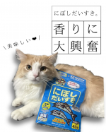 【おやつ時間は、至福の香りに包まれて。】「おやつ、まだかな&hellip;？」そんな愛猫の視線を釘付けにするのが、この「にぼしだいすき」。「カサッ」袋に指が触れた、その0.5秒後。さっきまで丸まって&hellip;のInstagram画像