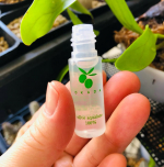 無添加工房OKADAさんの美容オイル、100%スクワランの完全無添加美容オイルです🫒岡田さんが大切な家族のために作ったスキンケアのシリーズです🌱お試しサイズから購入できるので初めての方も購入しや&hellip;のInstagram画像