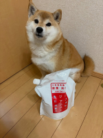 生ゴミ、トイレ、キッチン、車内、ペット用品のニオイなどの除菌ができる【ジアニスト】✨それぞれの用途で原液で使ったり、水道水で希釈して使えるのでとても便利です。赤ちゃんやペットにも安心して使え&hellip;のInstagram画像