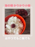 ＊..海の精( @uminoseishop )さまのかりかり小梅が最近のお気に入り♡小粒で1粒1粒が食べやすくかりかり食感がたまらない伝統海塩「海の精」を作る過程で生まれる海水中&hellip;のInstagram画像
