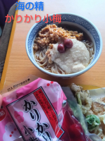 海の精 「かりかり小梅」お試ししています😊昔ながらのカリッと食べられる小梅💕懐かしい食感と味が広がります😌ご飯と一緒でももちろん美味しいんだけれど麺料理のアクセントや、長芋などと和えても美&hellip;のInstagram画像