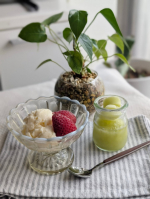 今年も暑い日が増えてきて、冷たいものが美味しい季節。【もちっとのび～るアイスの素】と【ゼリーアイスミックス】でひんやりスイーツ作ったよ。【もちっとのび～るアイスの素】は練るとのびる不思議なアイ&hellip;のInstagram画像