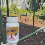 20260613 ここ数年、左膝の違和感がジワジワとノシテキタ模様～負けじと膝周り筋肉を鍛えてサポートしようと冬は除☃️雪に精を出し　雪がとけた今は　フィジカルに外からだけでなく、ロコモアで内面からも&hellip;のInstagram画像