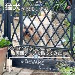 我が家の犬は脱走癖があり庭に放すと隙あらば門扉をくぐり抜け脱走します。なので危険極まりないのでレンガを置いてみたのですがコレが人間にとってはつまづいたりしてかなり危険！！なのでどう&hellip;のInstagram画像