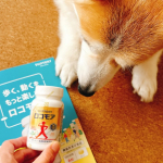 サントリー　ロコモア！！この子とのロング散歩を楽しみたい🚶お世話になってるロコモア！ウォーキングのお供に🚶&zwj;♀️#PR #サントリーウエルネス株式会社 #ロコモア #moniplaのInstagram画像