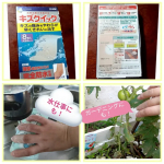 キズの痛みをやわらげ、早く綺麗に治す、キズクイック☺️✨完全防水で剥がれにくい！切り傷、すり傷、かき傷、あかぎれ、さかむけ、靴擦れなどの創傷及び軽度の熱傷の保護、湿潤環境の維持、治癒の促進、痛&hellip;のInstagram画像