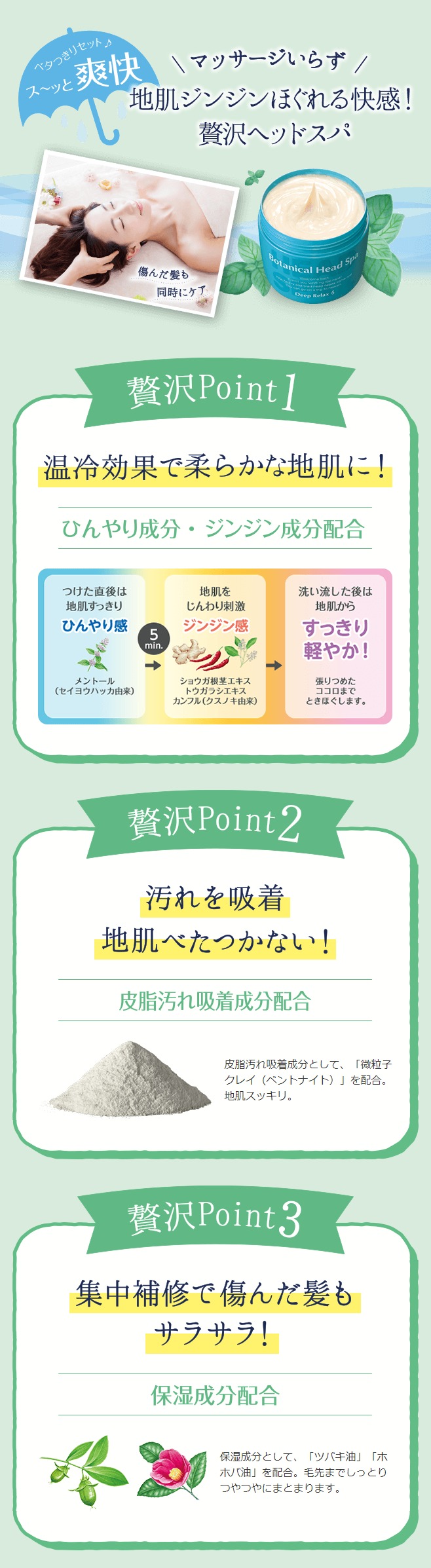 ボタニカルヘッドスパ概要