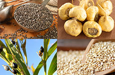 イチオシポイントイメージ2