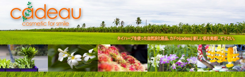 株式会社Cleat＆Clipのヘッダー画像