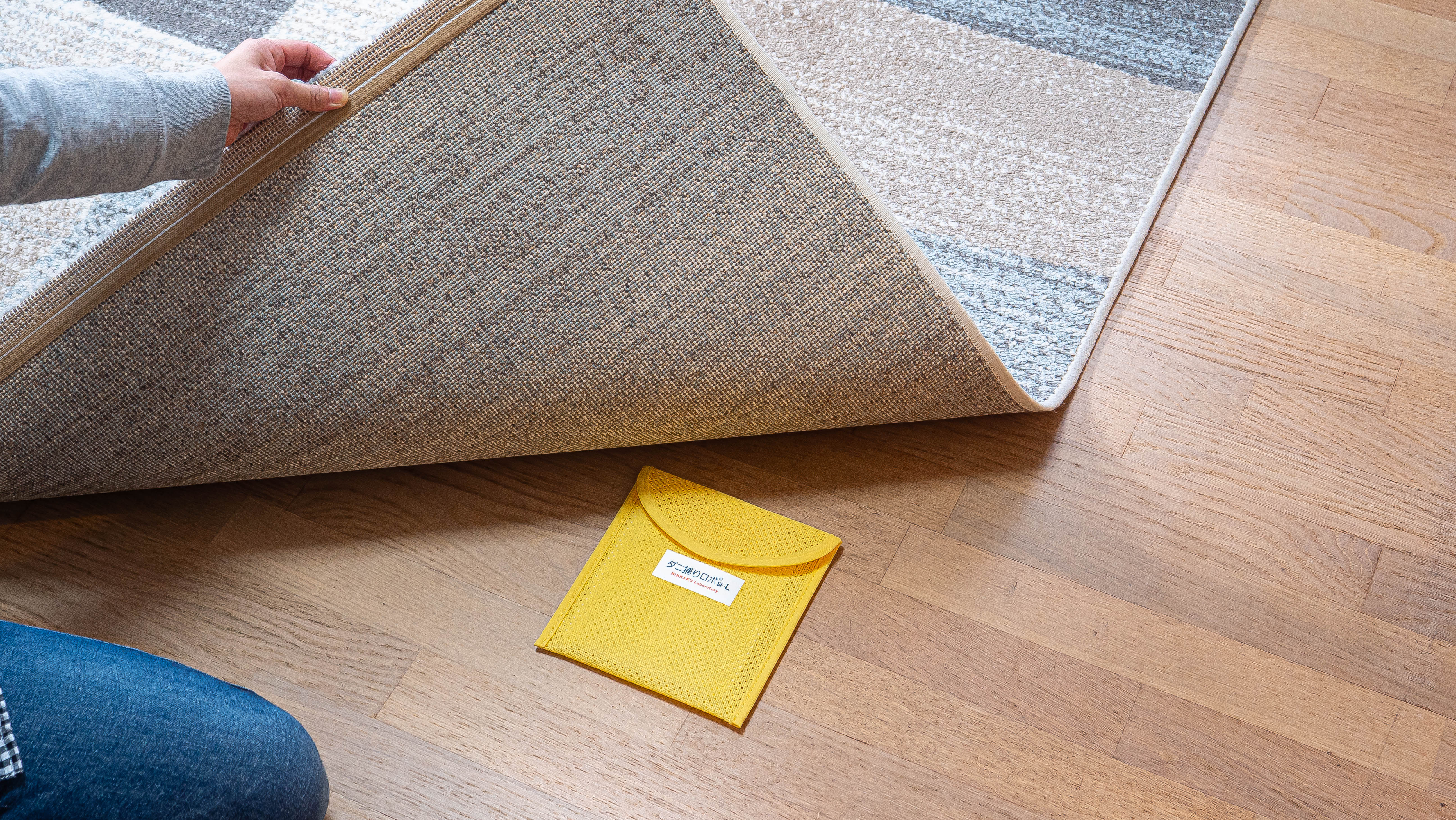 カーペット設置イメージ