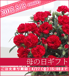 母の日ギフト　ご注文承り期間：4/27（金）15:00まで