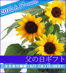 父の日ギフト　ご注文承り期間：6/7（木）15:00まで　