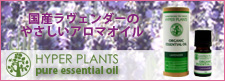 ハイパープランツ　エッセンシャルオイル　国産ラヴェンダー