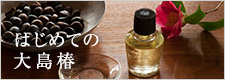はじめての大島椿