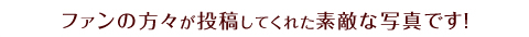 ファンの方々が投稿してくれた素敵な写真です!