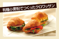 有機小麦粉でつくったクロワッサン