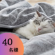 イベント「【猫Feel】まるで猫！のようなモフモフの手触りブランケット、クッションの Instagraｍ 投稿モニター 合計40名様大募集！」の画像