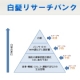 ブログで「白髪予防のホームページ」を紹介するだけ！ QUOカードプレゼント/モニター・サンプル企画