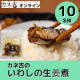イベント「【お子様にも大人気】生姜の効いた甘辛のタレでごはんがすすむ！＼カネ吉のいわしの生姜煮／　」の画像