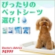 イベント「ペット用品通販ぺピイから☆愛犬に機能性トイレグッズの安心ペット用シーツ20名募集」の画像