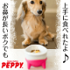 イベント「ペット用品通販ペピイ　鼻が長い小型犬やたれ耳の子にも♪『ワンコプレート』10名様」の画像
