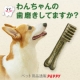イベント「ペット用品通販ぺピイから☆わんちゃんの歯磨きスナック「グリニーズ」100名募集」の画像