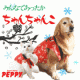 イベント「【ペット用品通販ペピイ】わんこもにゃんこも冬スタイル♪ちゃんちゃんこ合計10名様」の画像