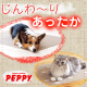 イベント「ペット用品通販ペピイからピタッと！じんわりあったか『あったかピタクロス』10名」の画像